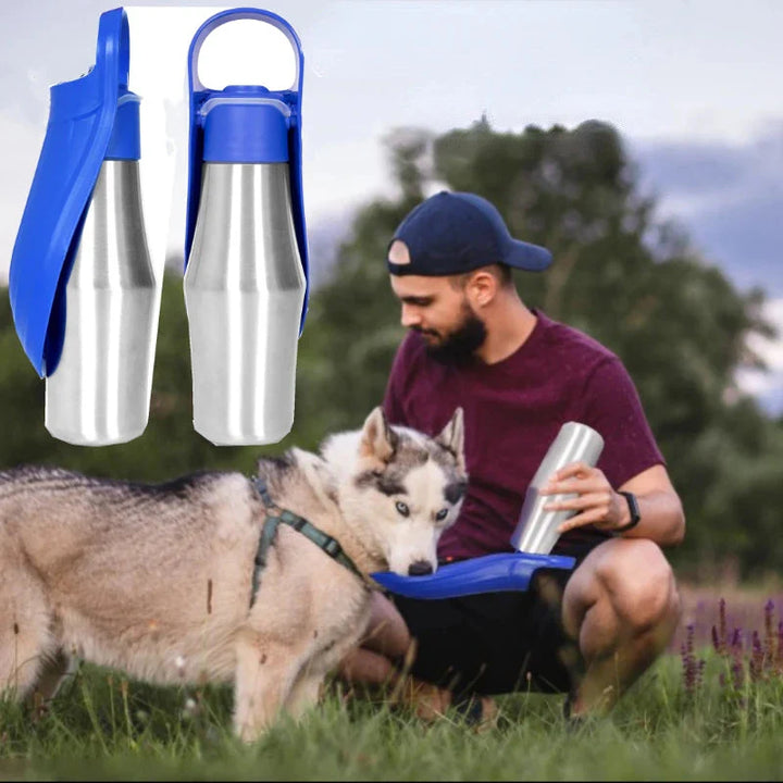 gourde isotherme chien